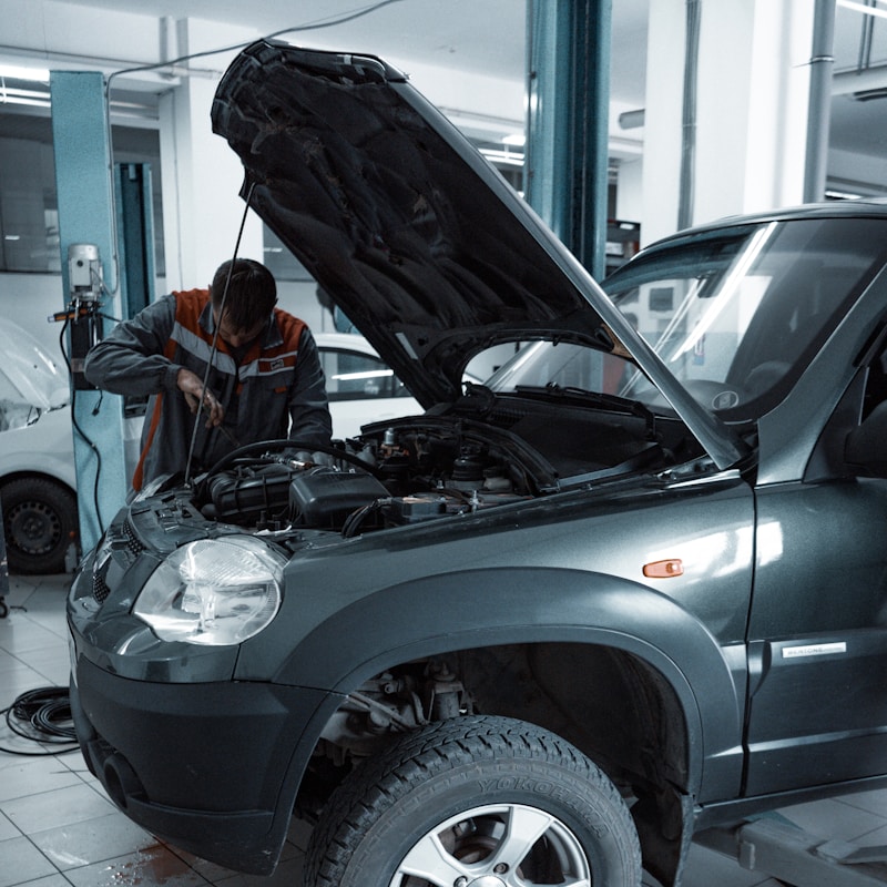 Maintenance